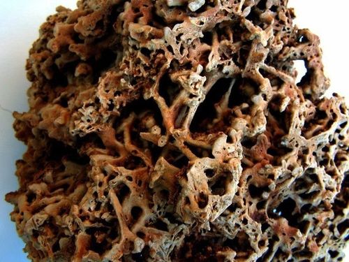 5KG WAPIEN CZERWONY ZESTAW SKAŁ DO AKWARIUM MALAWI na Arena.pl