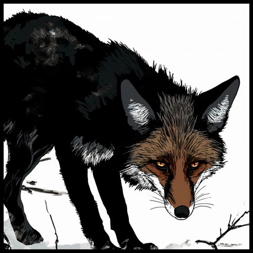 Plakat 100x100cm Nieufny Lis na Arena.pl