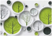 Fototapeta Na Flizelinie Do Sypialni Salonu 3D 250x175