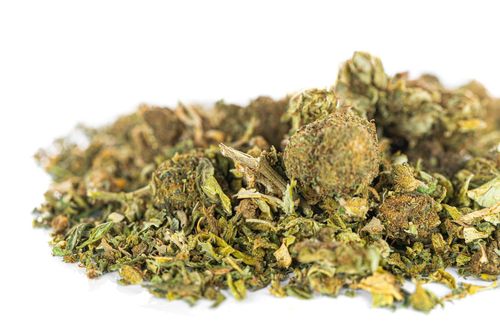 Susz konopny CBD MIX Odmian 10 g na Arena.pl