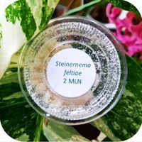 product-compare-61696859