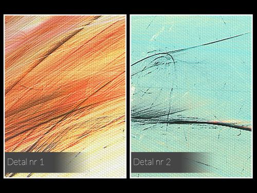 70001 Obraz na płótnie RYBA OGON ABSTRAKCJA na Arena.pl