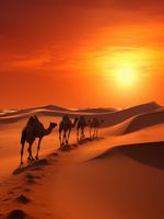 Plakat 60x80cm Karawana na Pustyni