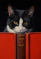 product-compare-59363098