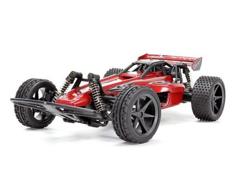 Samochód RC Buggy 1:18 2,4Ghz na Arena.pl