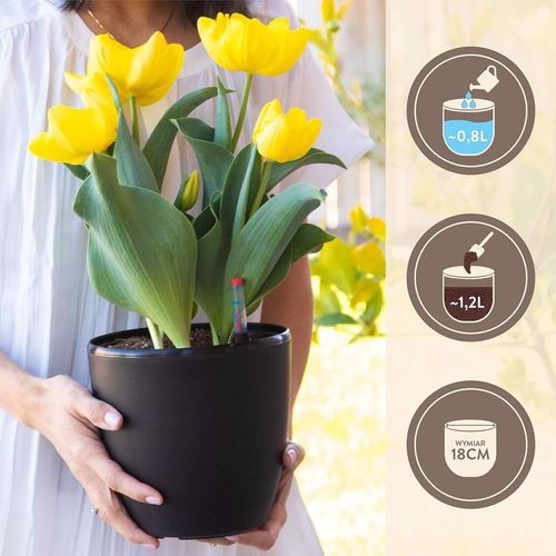 Donice z systemem nawadniania czarne 3 szt na Arena.pl