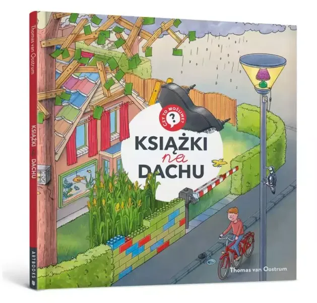 Książki na dachu zdjęcie 1