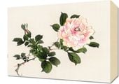Obraz 40x30cm Pink Rose 2, Kōno Bairei Japoński Vintage do Salonu