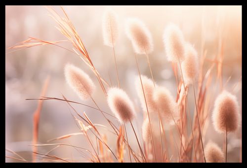 Plakat 45x30cm Kwiaty Słońca na Arena.pl