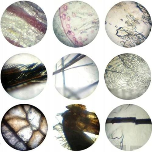 Mikroskop Naukowy Dla Dziecka Szkolny 1200x Prezent ZESTAW PREPARATÓW 24 el na Arena.pl