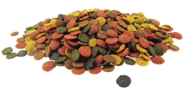 TROPICAL SUPERVIT CHIPS 300g POKARM DLA RYB zdjęcie 1