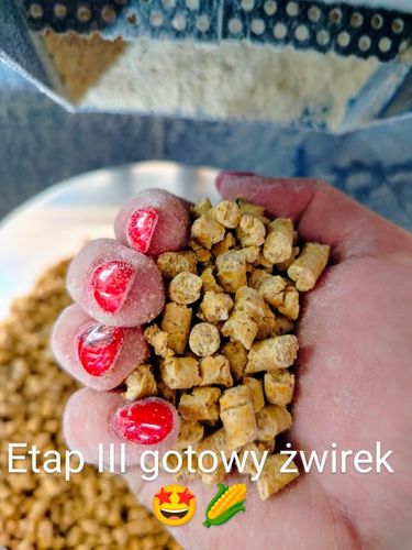 Żwirek kukurydziany GRUBOZIARNISTY EKOTEK 20L dla kotów 12 kg na Arena.pl