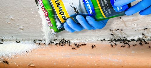 PREPARAT NA MRÓWKI, PROSZEK NA MRÓWKI DO DOMU I OGRODU, TRUTKA STRONG 1 KG na Arena.pl