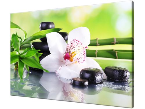 Obraz drukowany na płótnie canvas 120x80 + GRATIS na Arena.pl