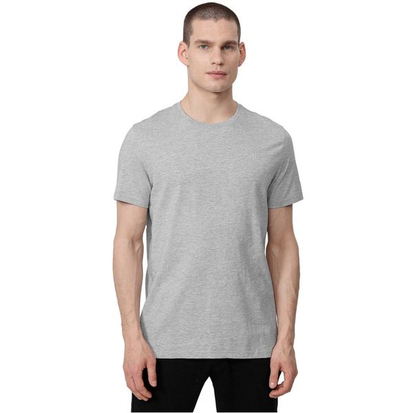 Koszulka męska M0876 4F S zdjęcie 4