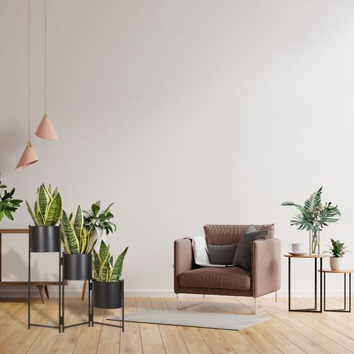 Kwietnik na Arena.pl