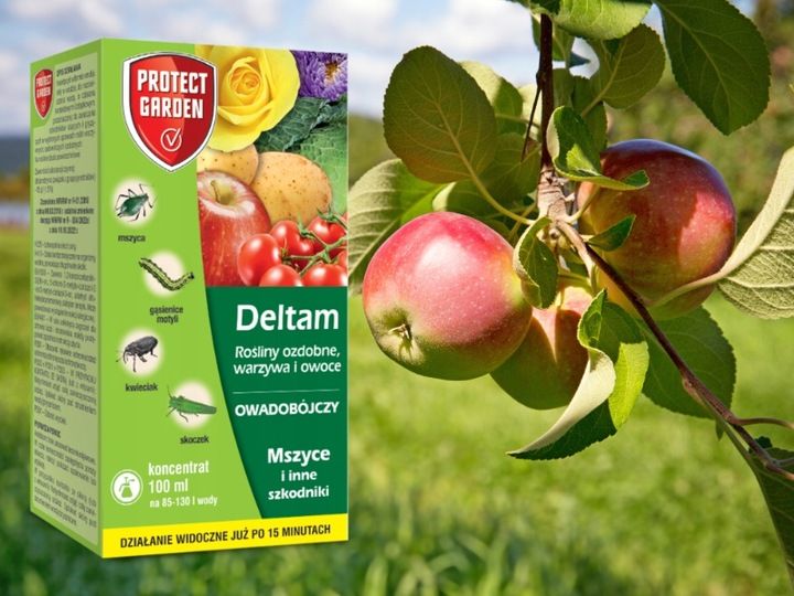 DELTAM ŚRODEK OWADOBÓJCZY MSZYCA KWIECIAK SKOCZEK GĄSIENICE MOTYLI 100ML zdjęcie 6
