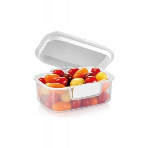 Pojemnik FreshZONE 30 x 20 cm na Arena.pl