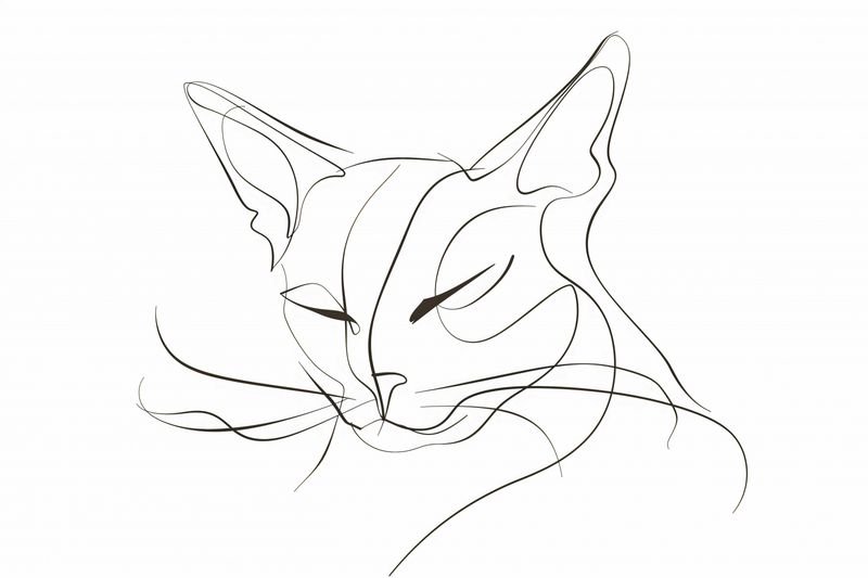 Plakat 30x20cm Linijny Kot zdjęcie 1