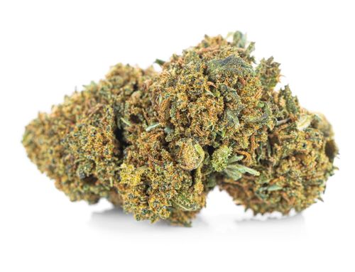 Susz konopny CBD | JACK HERER | 1 g na Arena.pl