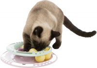 TRIXIE Junior Kitten Circle tor z piłeczkami zabawka dla kota z piłkami
