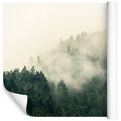 Fototapeta Las we Mgle NATURA Przyroda do Salonu 400x280
