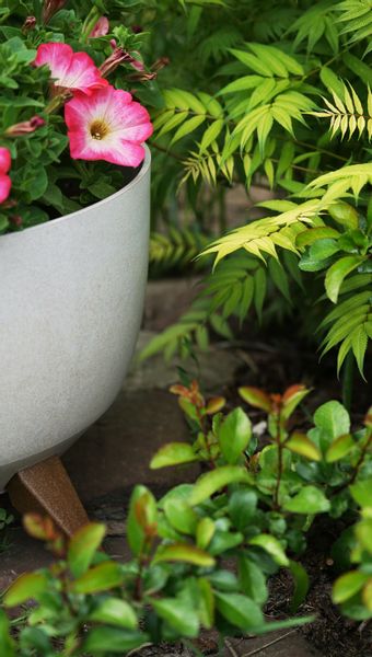 Doniczka, misa ROMA 240 | Kremowy zdjęcie 14