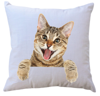 product-compare-52754470