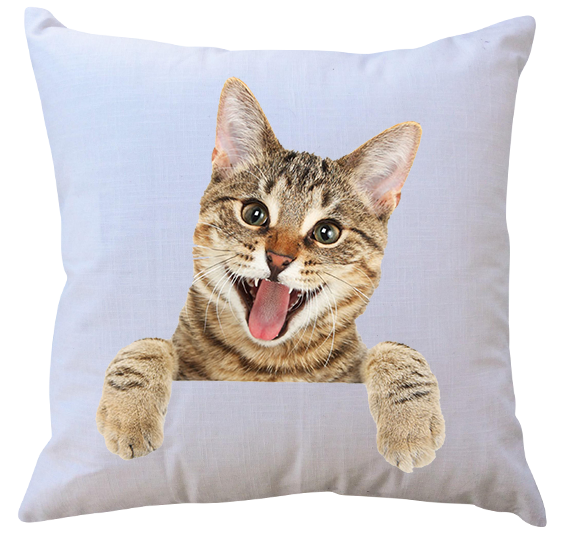 Poduszka Koty zdjęcie 1