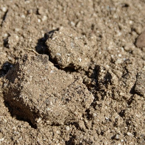 Podłoże dla żółwia stepowego greckiego lądowego Testudo Soil Original 25 L na Arena.pl