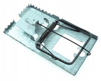 pułapka na szczury 5szt. metalowa 17x7cm | 920456