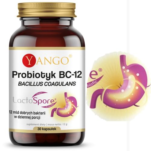 Yango PROBIOTYK BC-12 Bakterie Bacillus Coagulans 30ks wsparcie: MIKROFLORA na Arena.pl