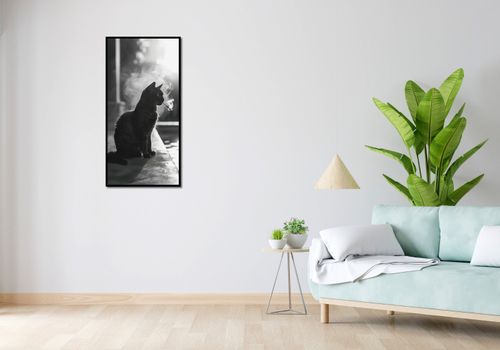 Plakat 50x100cm Kocia Przerwa na Arena.pl