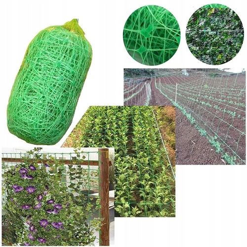Siatka Podpora warzyw roślin pnących 2x10m 15x17cm AS-CN08151720010 na Arena.pl