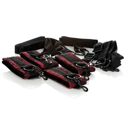 scandal bed restraints na Arena.pl