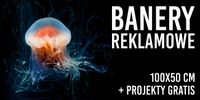 DRUK BANER REKLAMOWY PLANDEKA 100x50 cm projekty w cenie oczkowane