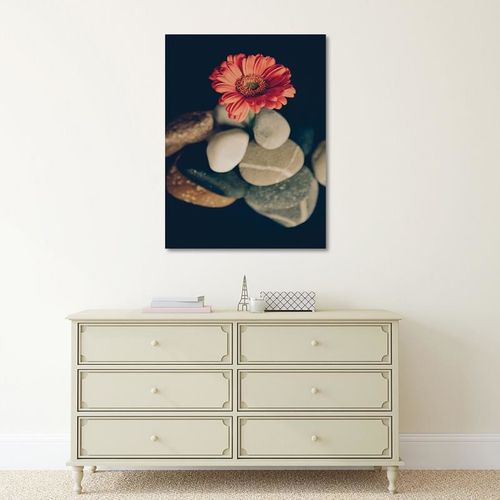 Deco Panel, Martwa natura 6 30x40 na Arena.pl