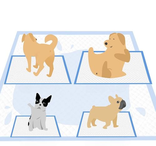 PODKŁADY HIGIENICZNE MATY DLA PSA NAUKA SIKANIA 60x60 100szt 600ml 8gr SAP na Arena.pl