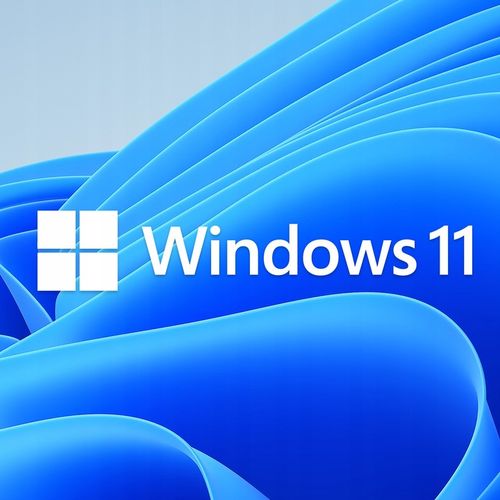 Program MICROSOFT Windows 11 Home Box na Arena.pl