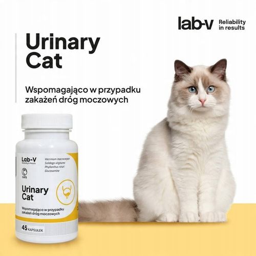 Lab-V Urinary Cat Zdrowy Układ moczowy 45 kapsułek na Arena.pl