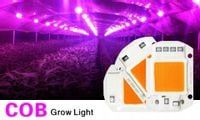 Dioda COB 30W grow zasilanie 230V+ pasta W-wa