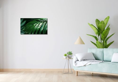 Obraz 70x40cm Żywa Łagodność na Arena.pl