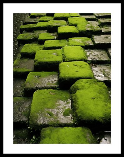 Plakat 30x40cm Zielona Mozaika na Arena.pl