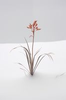 product-compare-59356733