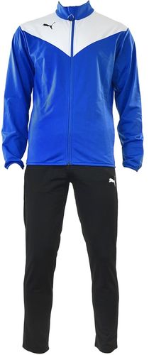 Dres męski Puma Essentials Pro Poly 655461 02 M na Arena.pl