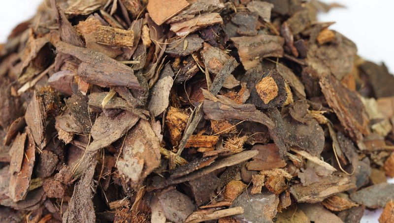 Podłoże do storczyków Arex 5l zdjęcie 3