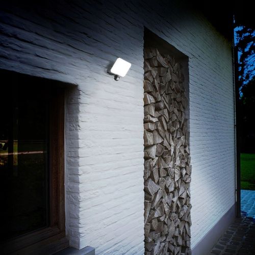 Lampa z Czujnikiem Ruchu 50W Naświetlacz Halogen LED Videx 4750lm IP65 na Arena.pl