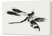 Obraz 70x50cm Dragonfly, Édouard Manet Vintage do Salonu