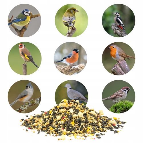 KARMA POKARM ZIARNO SŁONECZNIK DO KARMNIK DLA DZIKICH PTAKÓW ZIMUJĄCYCH na Arena.pl