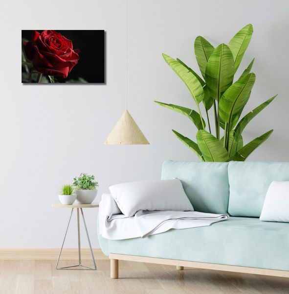 Obraz 50x30cm Róża w Półcieniu zdjęcie 2